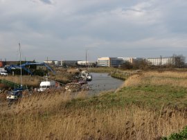 Great Stour River, nr Sandwich