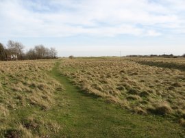 Path towards Princes Golf Club