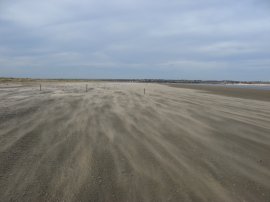 Beach at Sandwich Bay