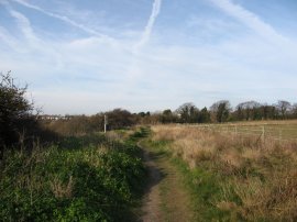 Path above Pegwell Bay