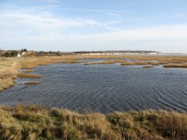 Pegwell Bay