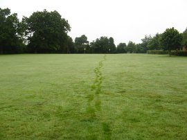 Footsteps on the damp grass