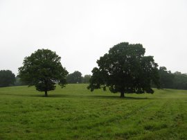 Fields nr Southborough