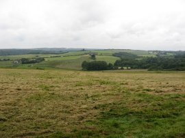 Approaching Penshurst