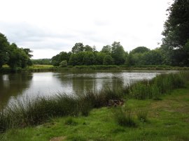 Pond besides Whitehill Woods