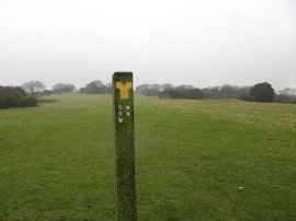 Wealdway, South Downs