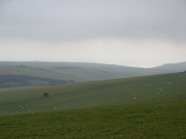 View back to the coast