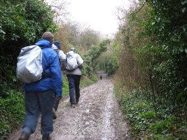 The lane from Jevington