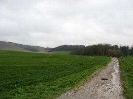 Approaching Folkington