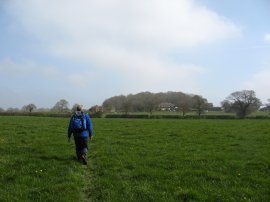 Fields nr Upper Dicker