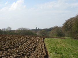 Approaching Chiddingly