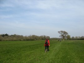 Field nr East Hoathly