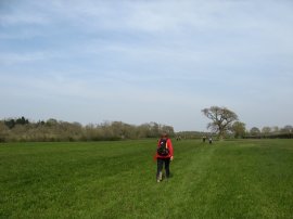 Field nr East Hoathly