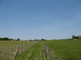 Fields nr Hendall Manor Farm