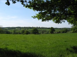 Fields nr Withyham