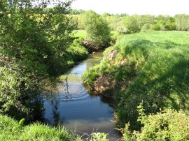 River Medway, nr Withyham