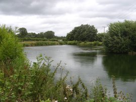 Pond nr Grove Farm