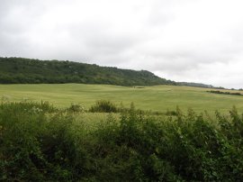 Approaching the North Downs