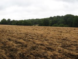 Ploughed Field