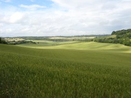 Approaching Luddesdown