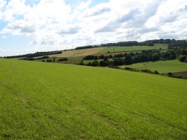 View back to Luddesdown