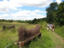 Path nr Sole Street