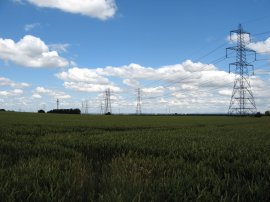 Fields nr Hendall Manor Farm