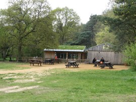 Cafe, Burnham Beeches Nature Reserve