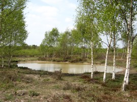 Stoke Common