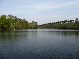 Blackpark Lake