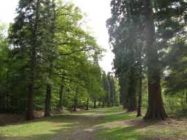 Langley Park Country Park