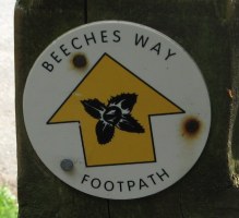  Beeches Way