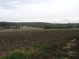 View from Hogtrough Lane