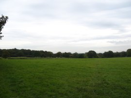 Fields nr Kingsash