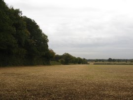 Fields approaching The Lee