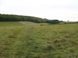 Heading towards Beech Wood