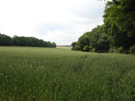 View from Railway Hill