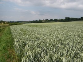 View back towards Elham