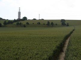 Heading up Tolsford Hill