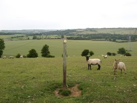 View back towards Lyminge