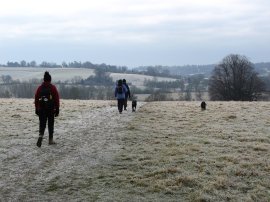 Approaching Penshurst