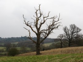 View over the Eden Valley