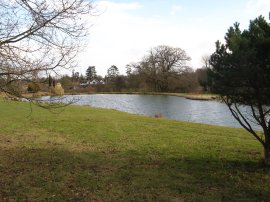 View towards Hever Grange