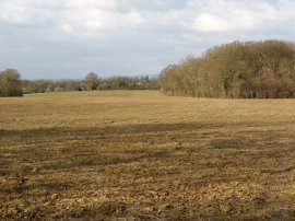 Fields nr Hever