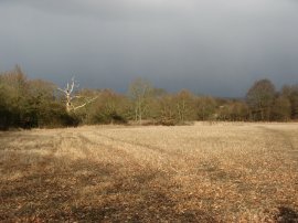 Fields nr Hever