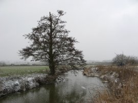 River Eden, nr Edenbridge