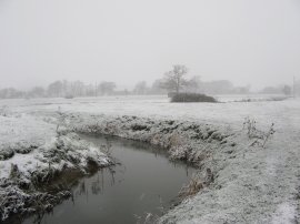 River Eden nr Haxted