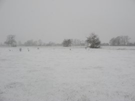 Approaching Haxted Road