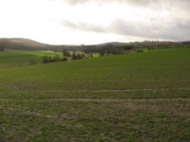 Darent Valley