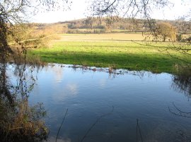 Darent River, nr Shoreham